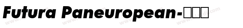 Futura Paneuropean字体转换